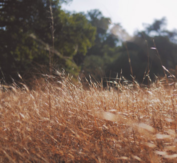 女足球员努力训练，迎接挑战