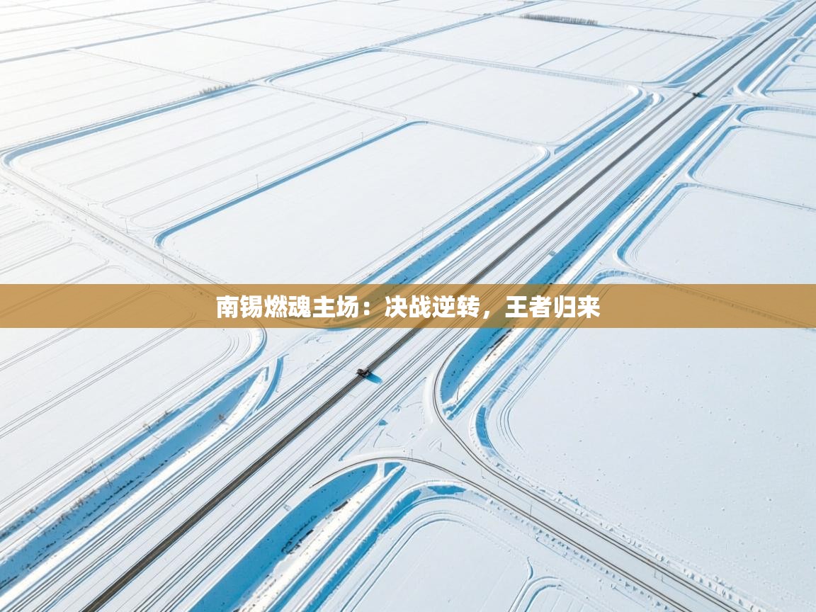 南锡燃魂主场：决战逆转，王者归来  第1张