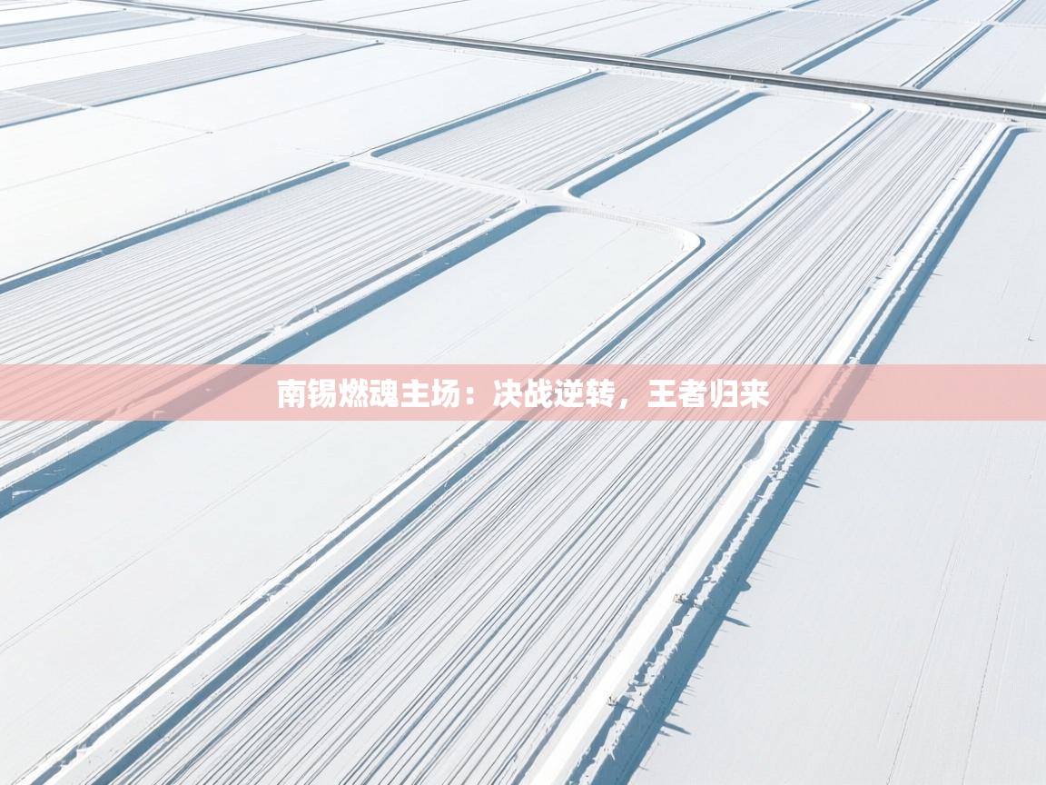 南锡燃魂主场：决战逆转，王者归来  第2张