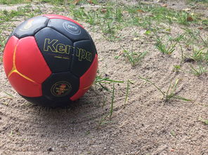 白俄罗斯-输给科威特,欧洲杯预选赛登峰造极 第4张